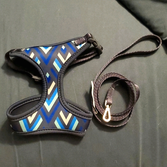 How To Put On A Good2Go Cat Harness